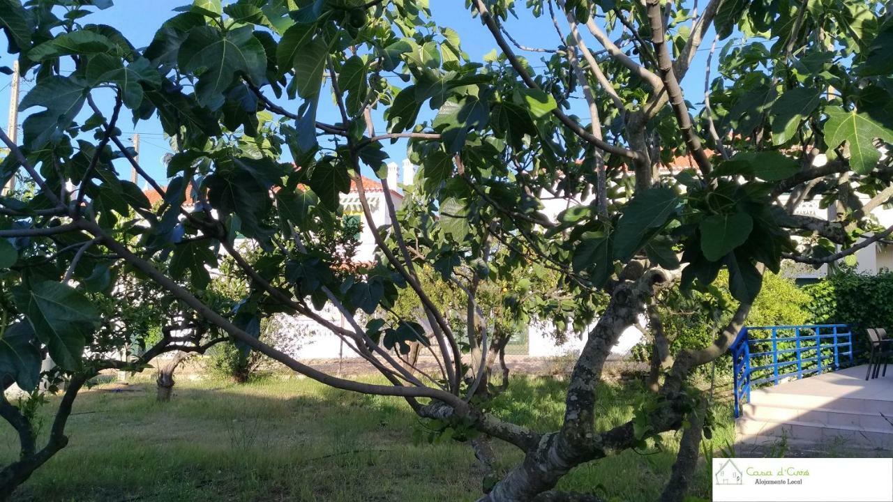 Casa D'Avo Lägenhet Altura Exteriör bild